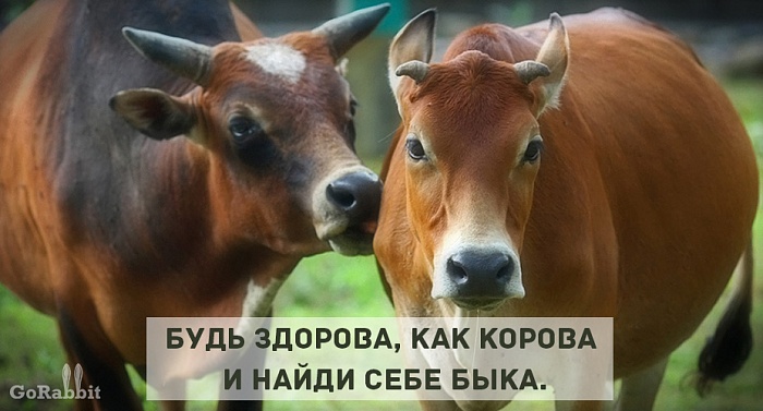 Фразы из детства, которые лучше не вспоминать Фразы из детства, которые лучше не вспоминать