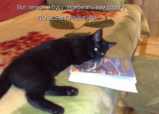Для хорошего настроения 4