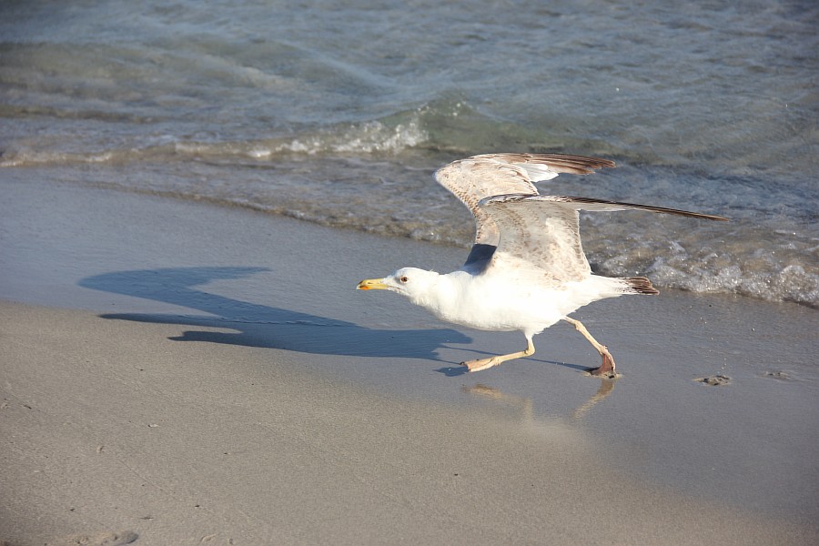 Элафониси, розовые пески, пляж, горы, море, путешествия, фотография, Аксанов Нияз, kukmor, Греция, красота, of IMG_0163