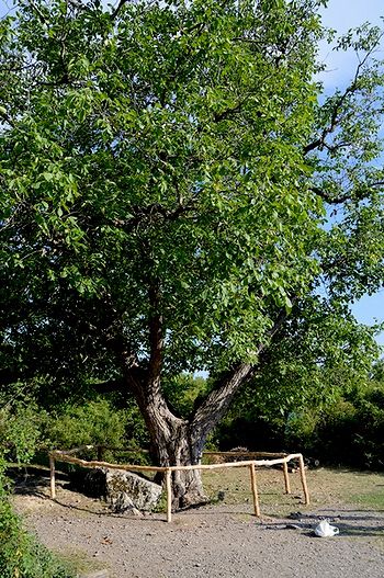 Долина Приведений - долина на горе Демерджи (Крым)