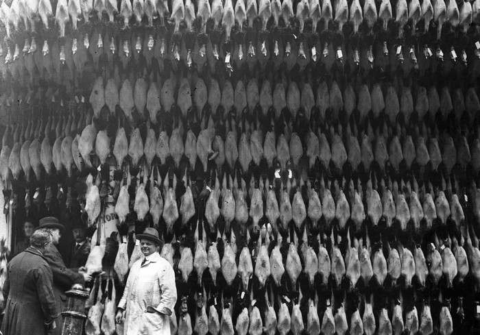 Мир сто лет назад. История, Фотография, Длиннопост, Историческое фото