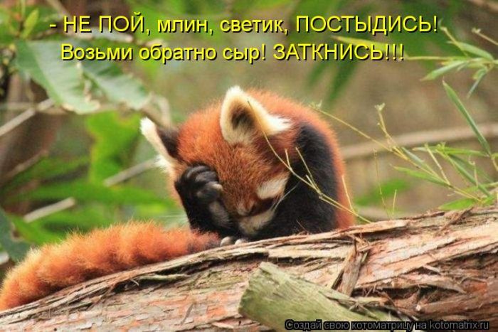 Котоматрицы великолепные, каждая с кусочком тепла, позитива и улыбкой! Котоматрицы великолепные, каждая с кусочком тепла, позитива и улыбкой!