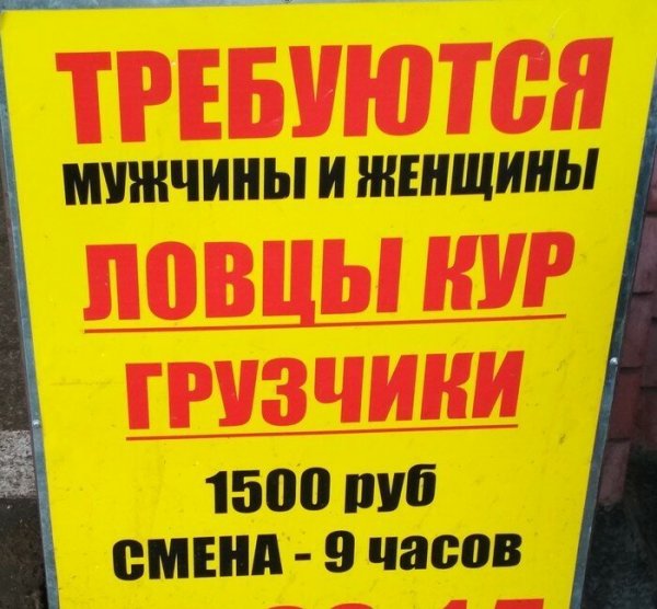 В поисках работы? Тогда ловите подборку крутых вакансий В поисках работы? Тогда ловите подборку крутых вакансий
