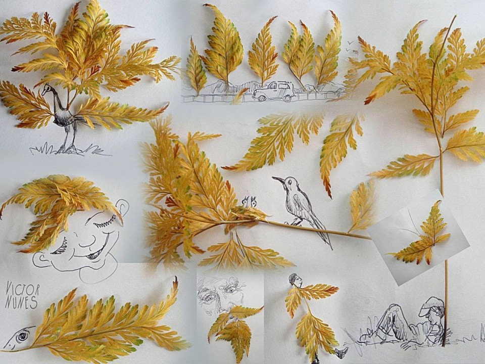 Виктор Нунес - Рисунки из листьев