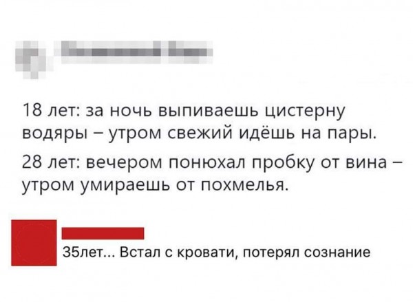 Осенние пятничные котики Осенние пятничные котики