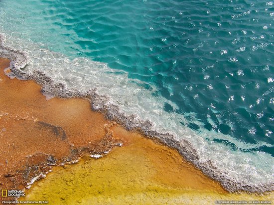 Новые снимки фотокорреспондентов National Geographic