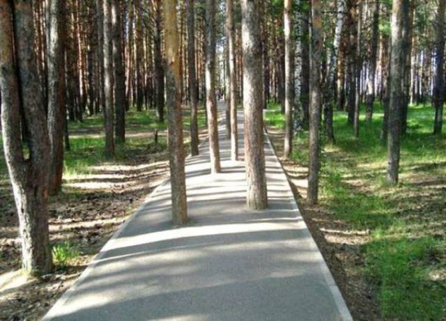 Некоторые люди просто не хотят работать как надо Некоторые люди просто не хотят работать как надо