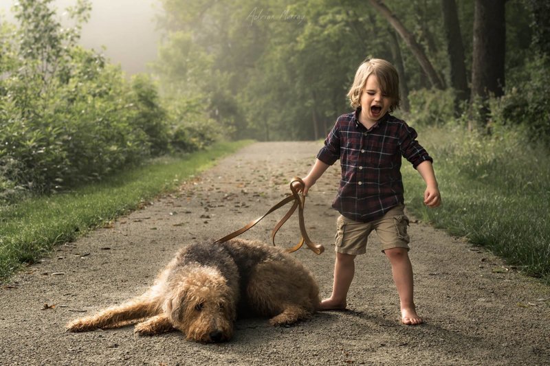 Добрый и волшебный мир детства Adrian Murray., детские фотографии, детство, фотомир