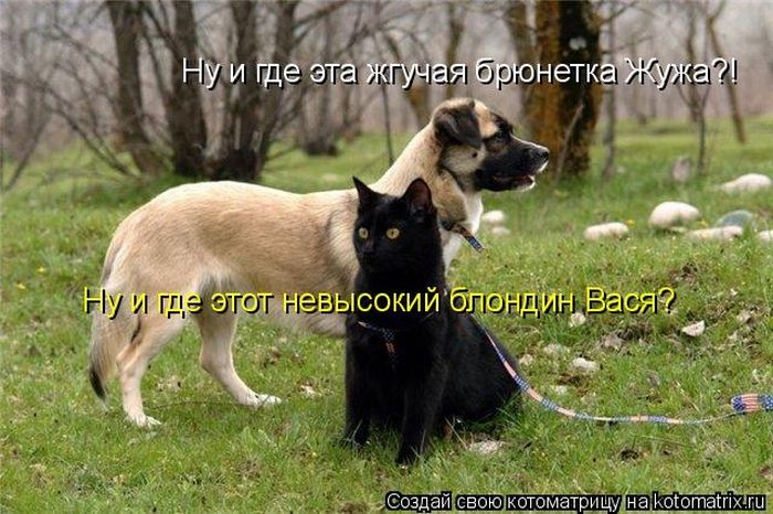 Для хорошего настроения 4