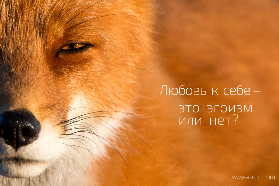 Любовь к себе: эгоизм или нет?