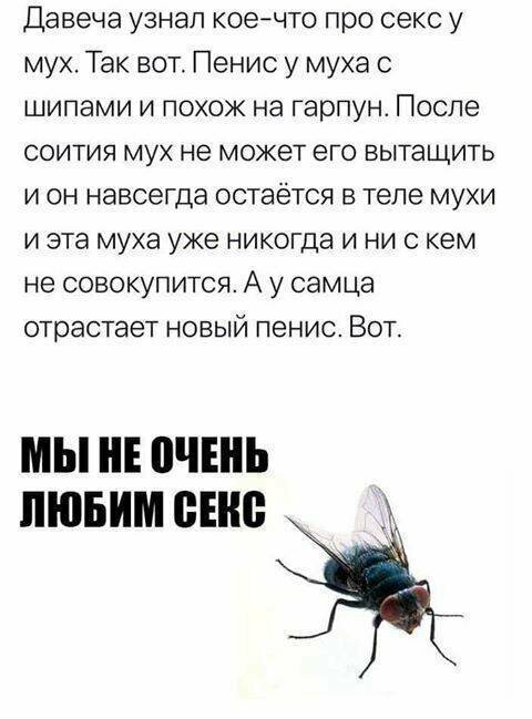 Вместо эпилога, заставляет задуматься Внезапные истины, которыми люди делятся в интернете
(17 фото)