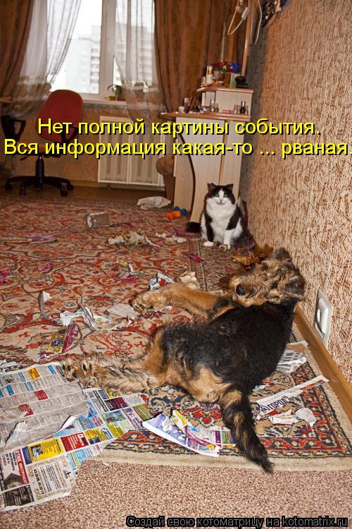 Нет полной картины события. Вся информация какая-то ... рваная..... Котоматрица: Нет полной картины события. Вся информация какая-то ... рваная..