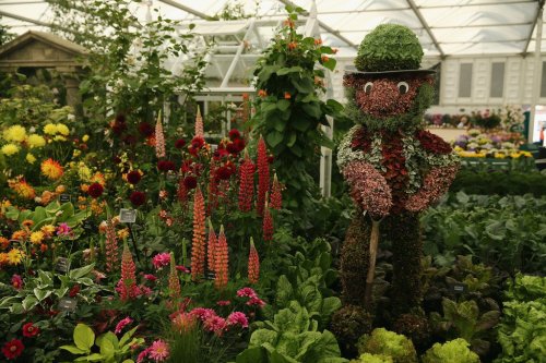 Цветочная выставка Chelsea Flower Show 2014 (24 фото)