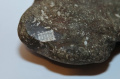 Российские ученые нашли камень с микрочипом возрастом 250 млн лет