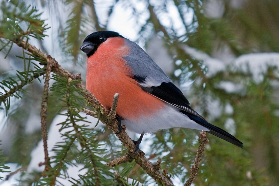 �� ������� �������...