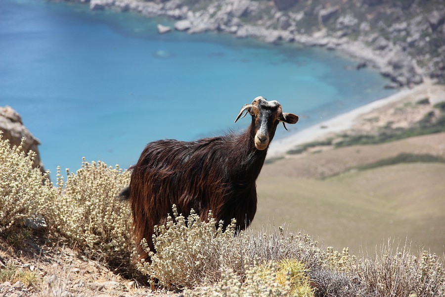 Элафониси, розовые пески, пляж, горы, море, путешествия, фотография, Аксанов Нияз, kukmor, Греция, красота, of IMG_0010