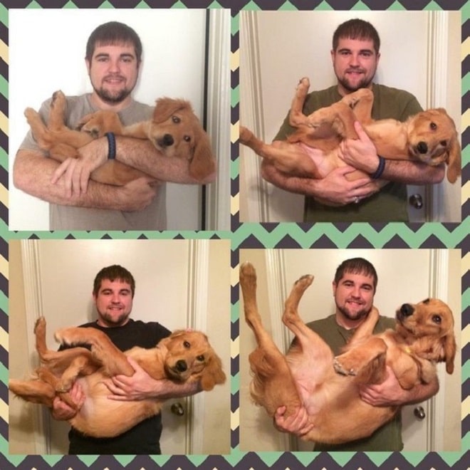Длинноногий пес и хозяин Хозяин держит собаку