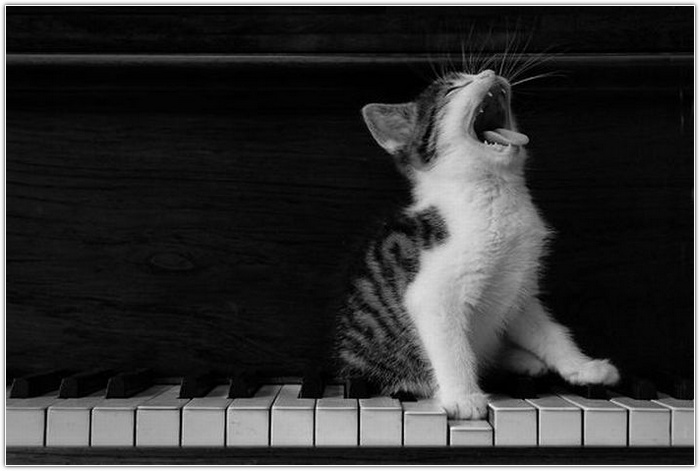 Учим ноты ))))