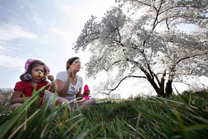 Весенние дни