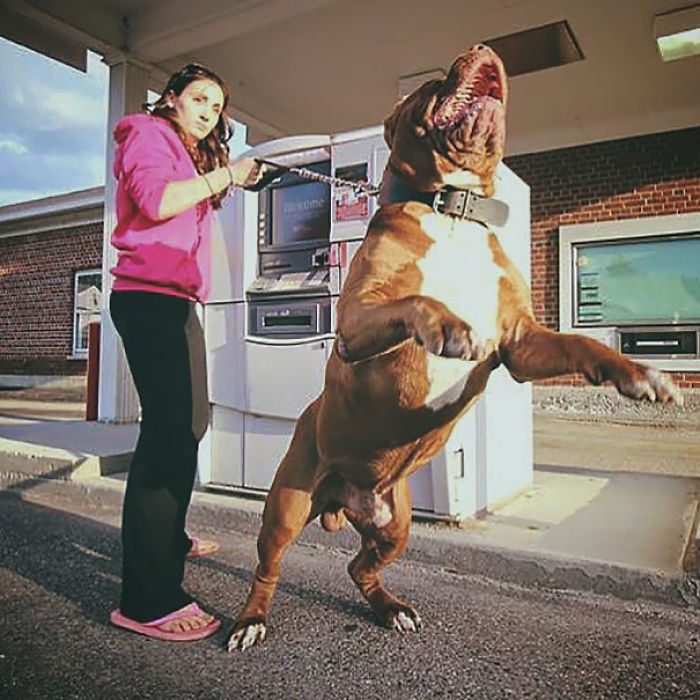 ATM Security At Its Best