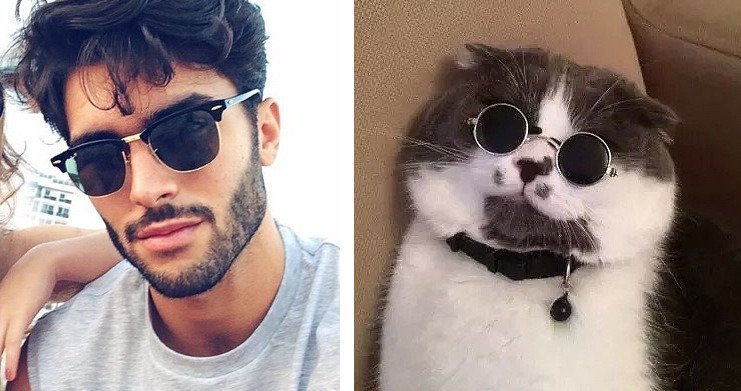 20 забавных коллажей, на которых наглядно видно, что у котов и красивых мужчин есть что-то общее 20 забавных коллажей, на которых наглядно видно, что у котов и красивых мужчин есть что-то общее животные, кот, кошки, мужчина, поза, прикол, юмор