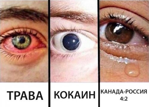 Новые фотомемы на Бугаге (27 шт) Новые фотомемы на Бугаге (27 шт)