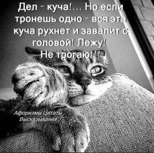 Мой прадед рассказывал, что как только увидел Титаник, то сразу заявил... Мой прадед рассказывал, что как только увидел Титаник, то сразу заявил...