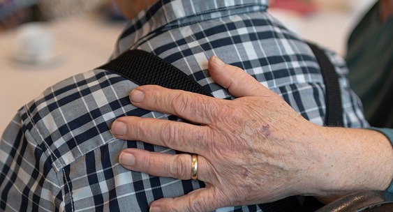 Nature: молодой мозг и иммунная система могут быть ключом к долголетию