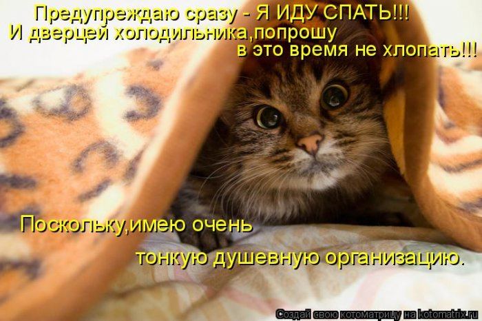 Мысли вслух :)