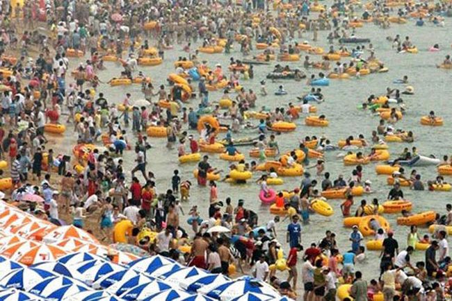 ������ ������� ������� (37 ����)