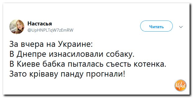 Обо всем понемногу с юмором и ехидными комментариями Обо всем понемногу с юмором и ехидными комментариями