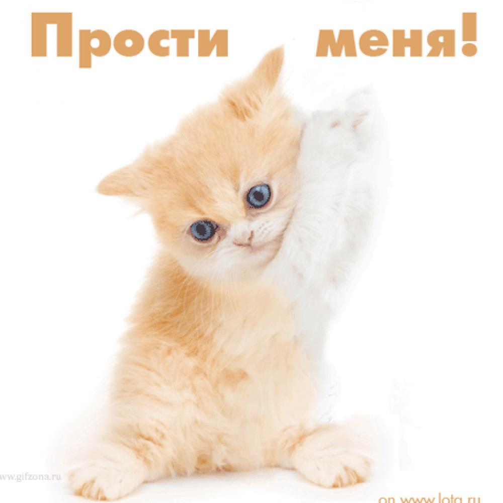 Плейкаст «С днём рождения Галочка!» Официальные поздравления с днем полиции