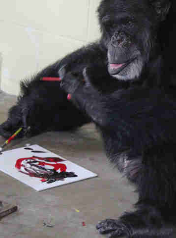 cheetah chimp art