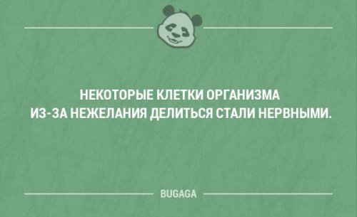 Свежая подборка забавных фраз и анекдотов  (18 шт)