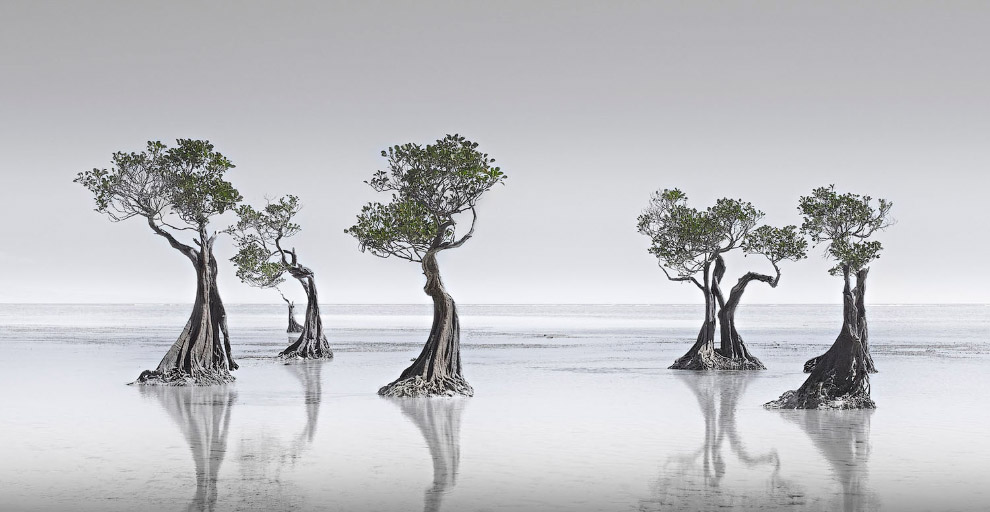 Лучшее с конкурса панорамной фотографии Epson International Pano 2019