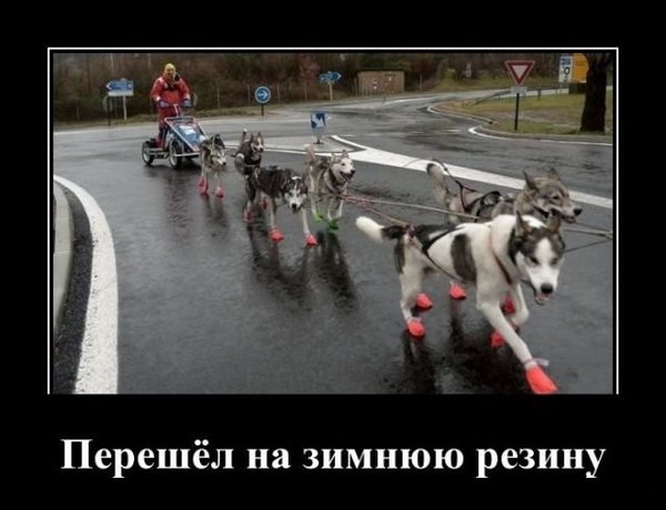 Прикольные демотиваторы (30 фото) Прикольные демотиваторы (30 фото)