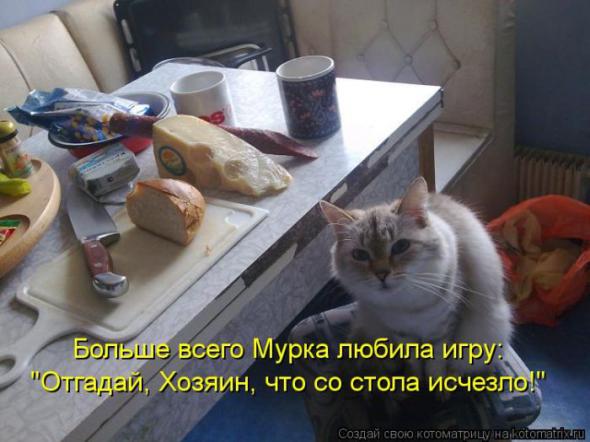 Котоматрицы (картинки с надписями)