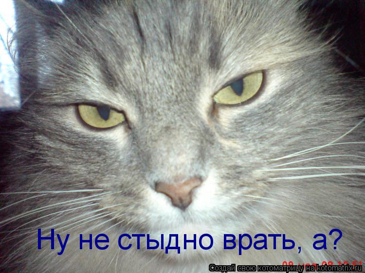 ... кто врот, а кто не врот! /А.Г. Лукашенко/