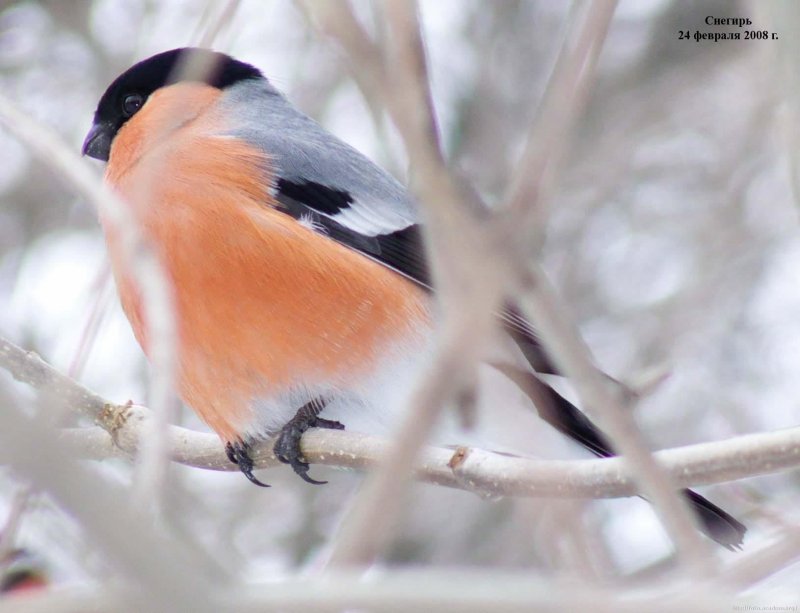 �� ������� �������...