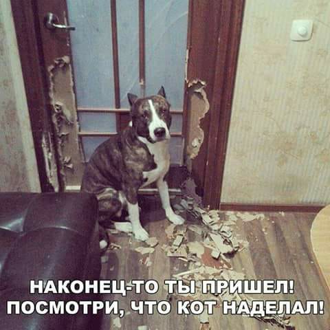 Если разговор не клеится, попробуйте обработать его спиртом. Если разговор не клеится, попробуйте обработать его спиртом.