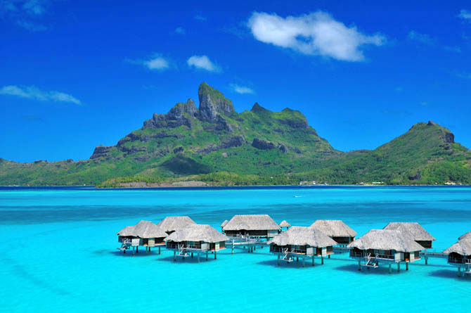  Four Seasons  -