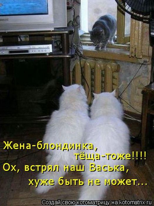 Мысли вслух :)
