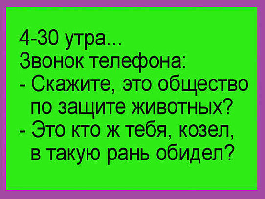 Два поддатых мужика сидят в пивбаре. - А вот ты хотел бы трахнуть Мадонну?