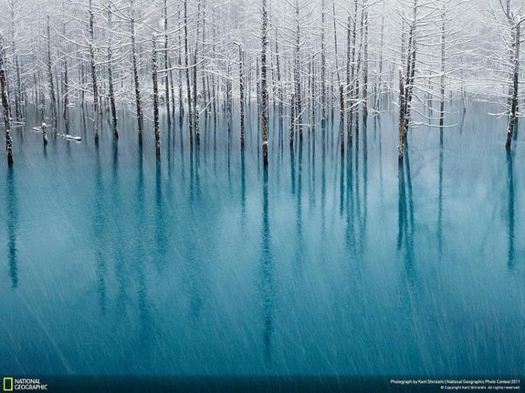 Лучшие фото года по версии National Geographic (11 фотографий) Лучшие фото года по версии National Geographic (11 фотографий)