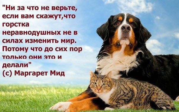 Любимому дедушке С Днем Рождения, дедушка! Мы тебя Крылатые слова - rodon. org