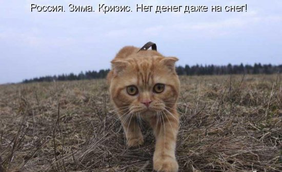 Для хорошего настроения 4