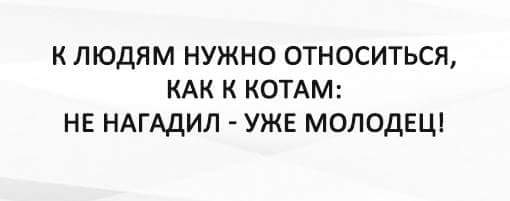 Осенние пятничные котики Осенние пятничные котики