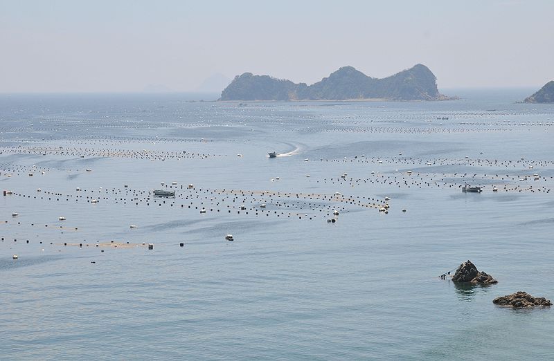 File:Uwa Sea Pearl Farm.JPG