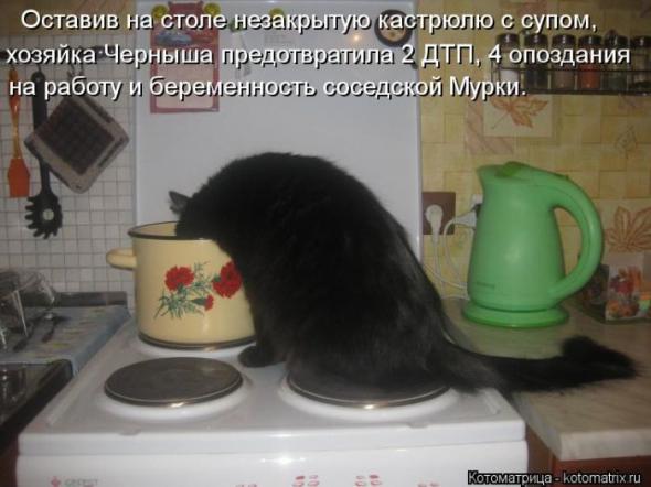 Котоматрицы (картинки с надписями)