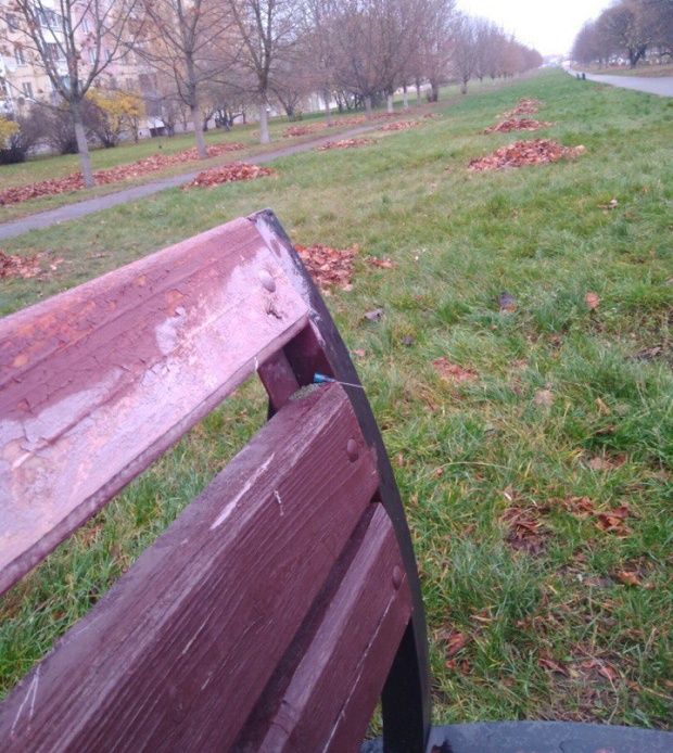 В Солигорске лавочки в парке "украсили" иглами с засохшей кровью В Солигорске лавочки в парке "украсили" иглами с засохшей кровью